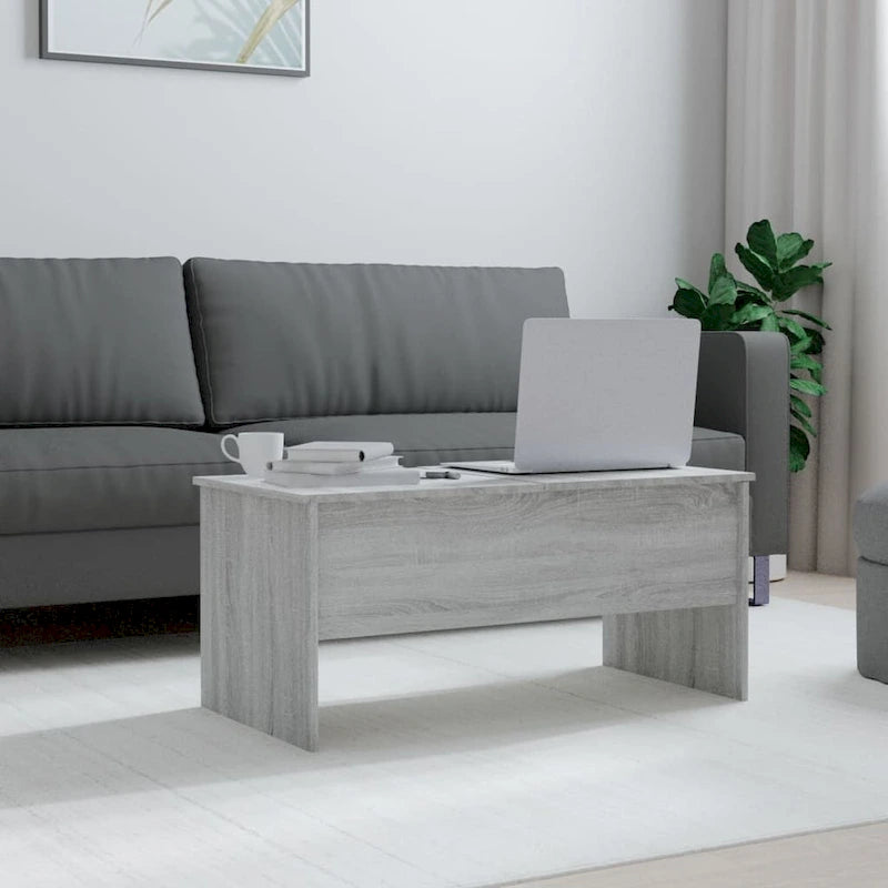 Tavolino da caffè sollevabile con contenitore nascosto - 102,1 x 50,5 x 46,5 cm